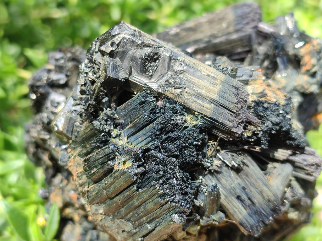 Natural Large Schorl Black Tourmaline Floater Cluster with Fibrous Foitite x 1 From Erongo, Namibia