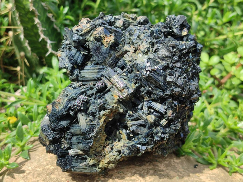 Natural Large Schorl Black Tourmaline Floater Cluster with Fibrous Foitite x 1 From Erongo, Namibia
