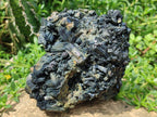 Natural Large Schorl Black Tourmaline Floater Cluster with Fibrous Foitite x 1 From Erongo, Namibia