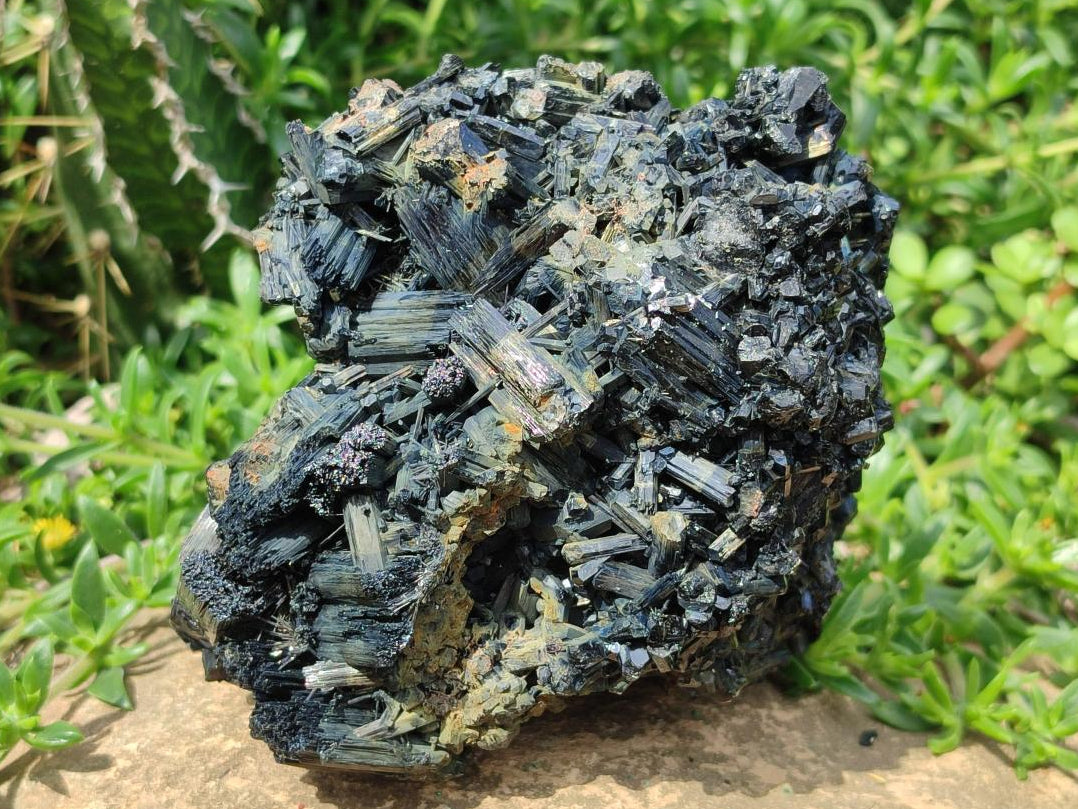 Natural Large Schorl Black Tourmaline Floater Cluster with Fibrous Foitite x 1 From Erongo, Namibia
