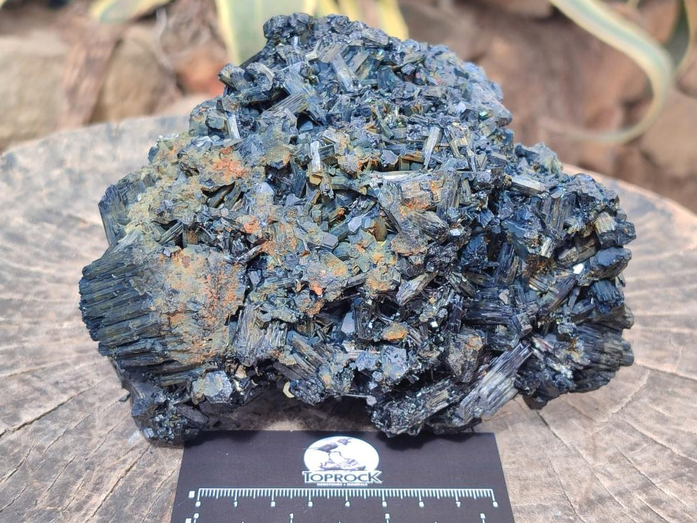 Natural Large Schorl Black Tourmaline Floater Cluster with Fibrous Foitite x 1 From Erongo, Namibia