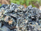 Natural Large Schorl Black Tourmaline Floater Cluster with Fibrous Foitite x 1 From Erongo, Namibia