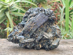 Natural Large Schorl Black Tourmaline Floater Cluster with Fibrous Foitite x 1 From Erongo, Namibia