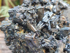 Natural Large Schorl Black Tourmaline Floater Cluster with Fibrous Foitite x 1 From Erongo, Namibia