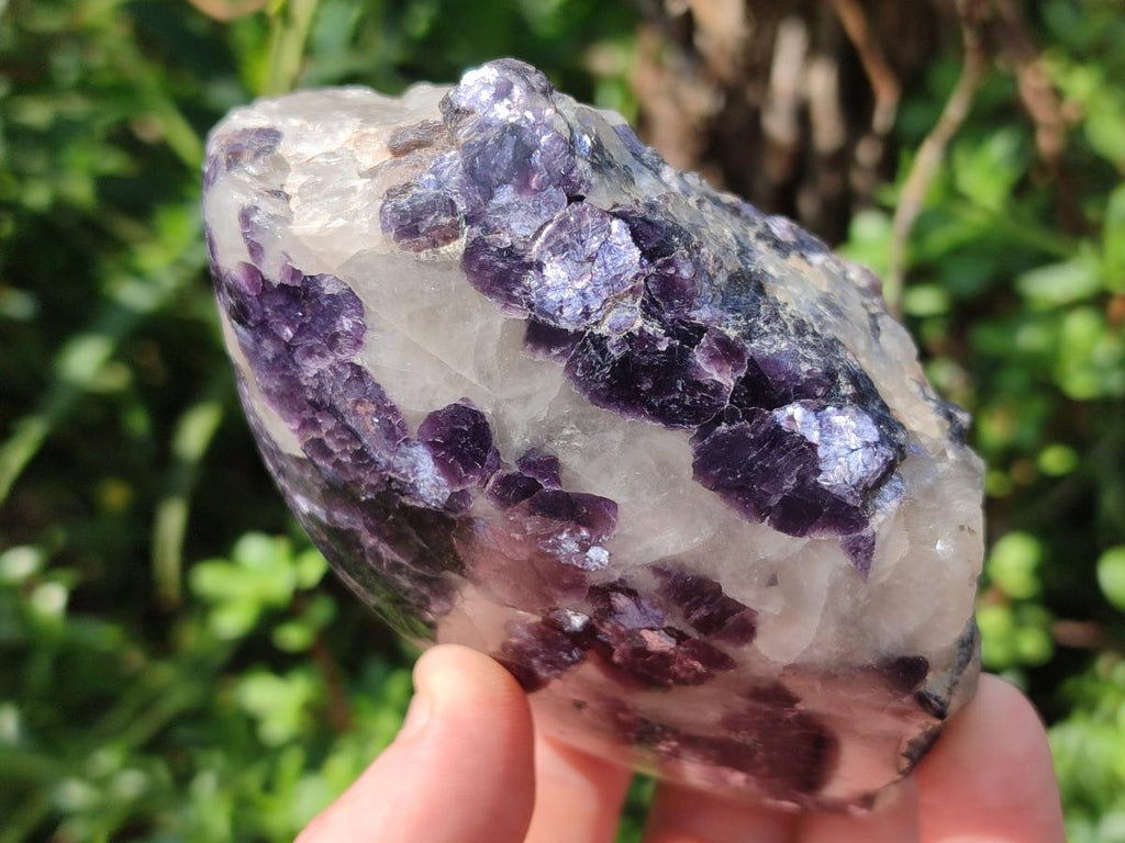 Polished One Side Lithium Silver Leaf Lepidolite x 4 From Zimbabwe
