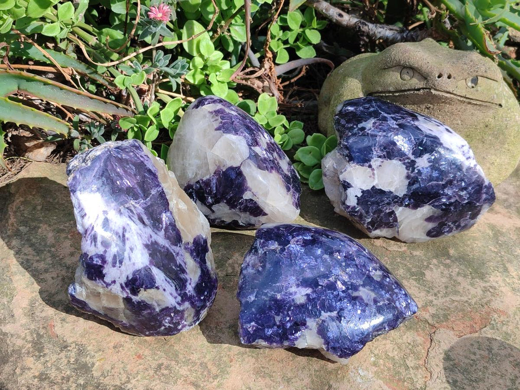 Polished One Side Lithium Silver Leaf Lepidolite x 4 From Zimbabwe