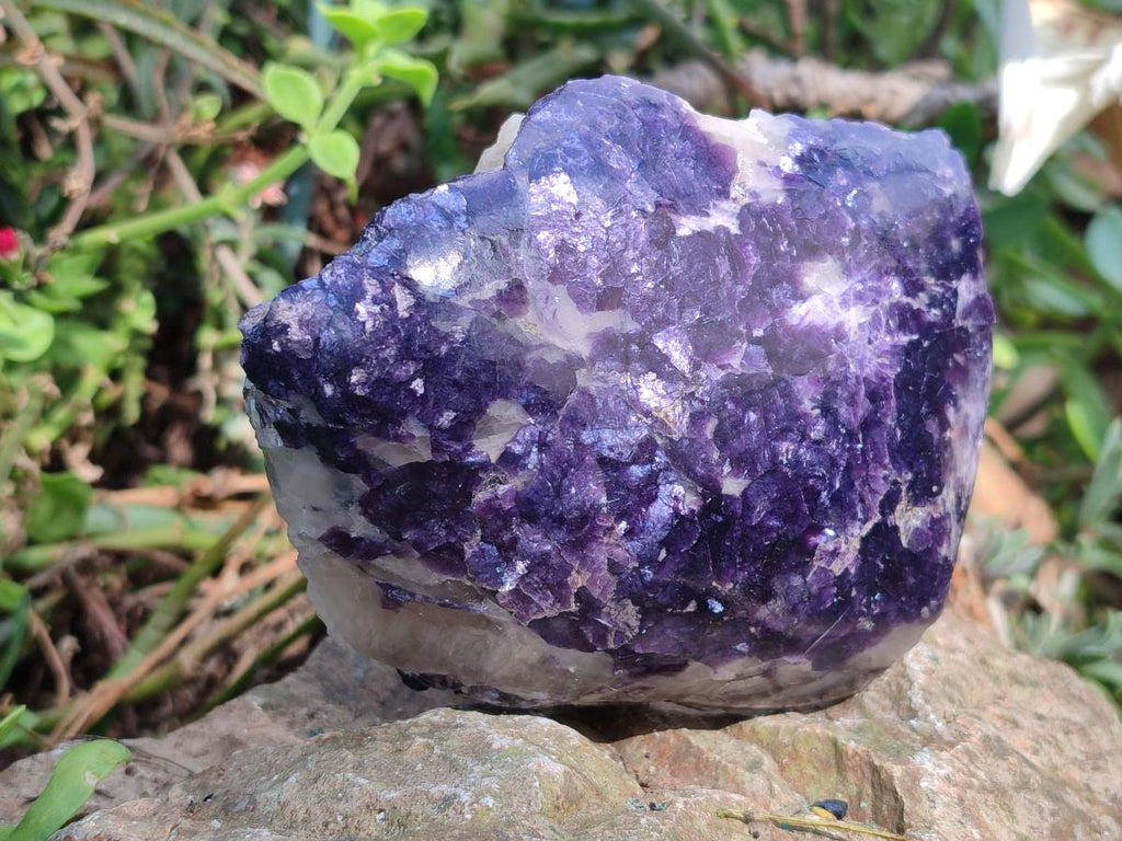 Polished One Side Lithium Silver Leaf Lepidolite x 4 From Zimbabwe