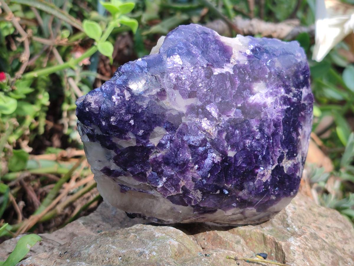 Polished One Side Lithium Silver Leaf Lepidolite x 4 From Zimbabwe