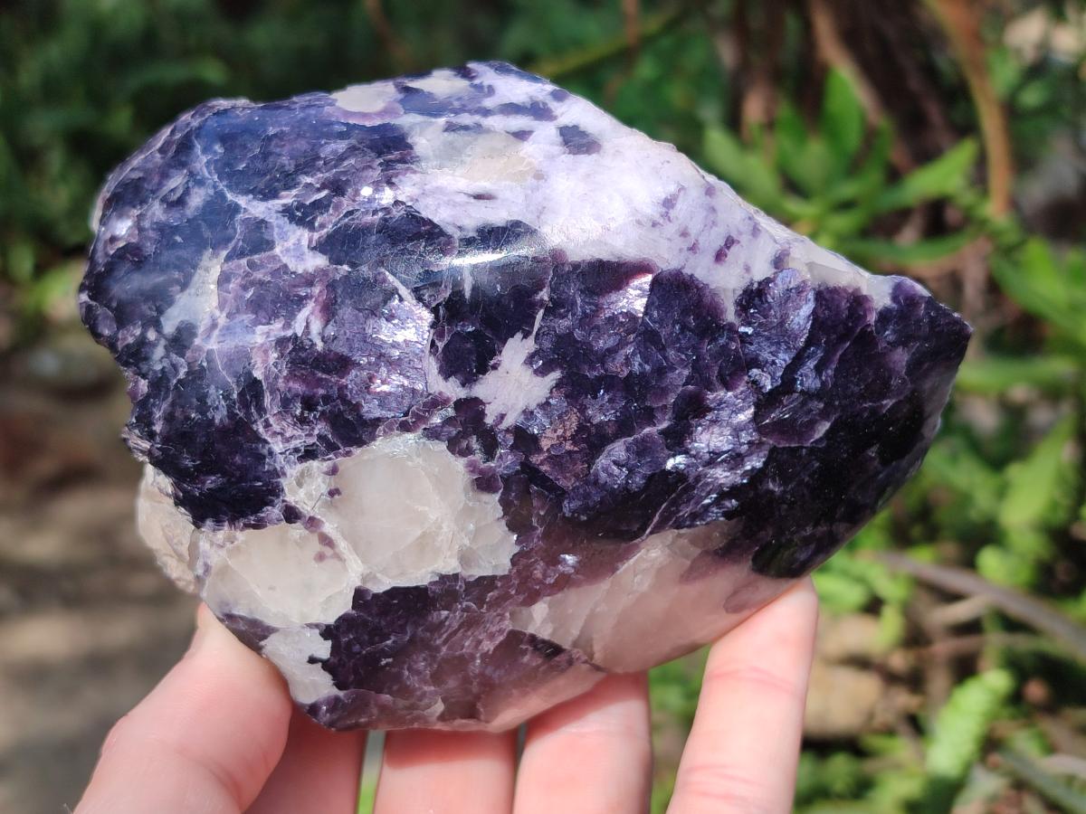 Polished One Side Lithium Silver Leaf Lepidolite x 4 From Zimbabwe