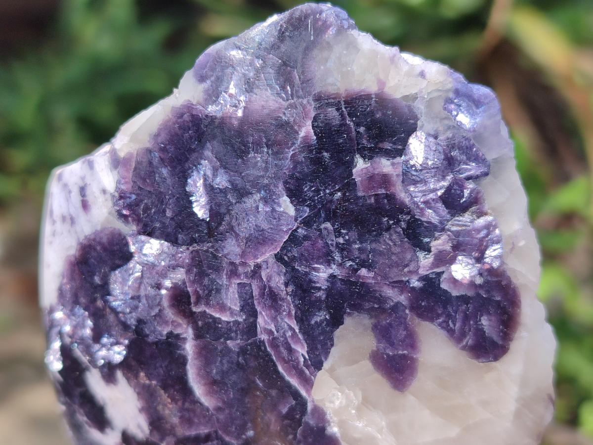 Polished One Side Lithium Silver Leaf Lepidolite x 4 From Zimbabwe