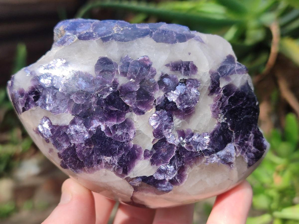 Polished One Side Lithium Silver Leaf Lepidolite x 4 From Zimbabwe