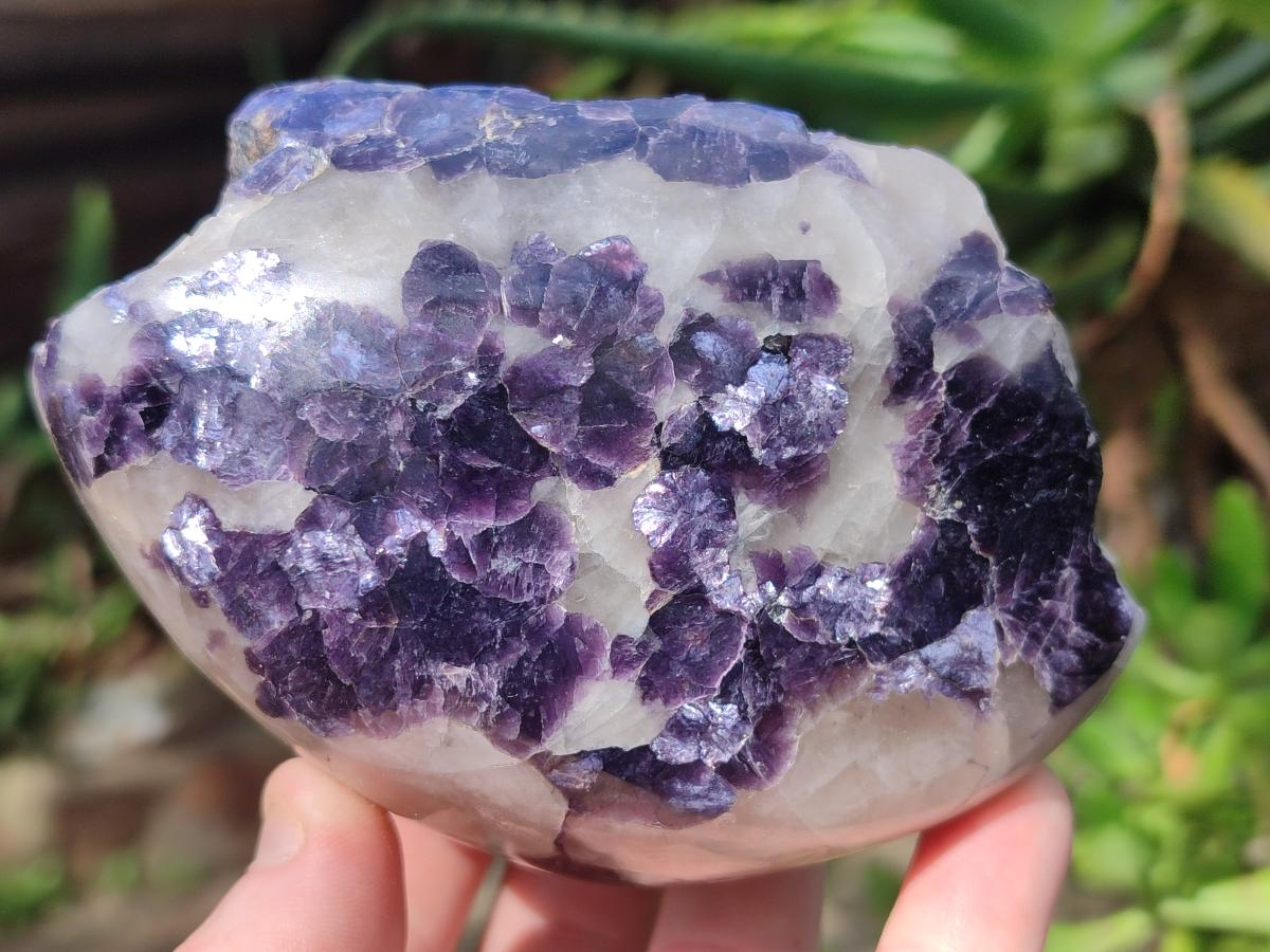 Polished One Side Lithium Silver Leaf Lepidolite x 4 From Zimbabwe