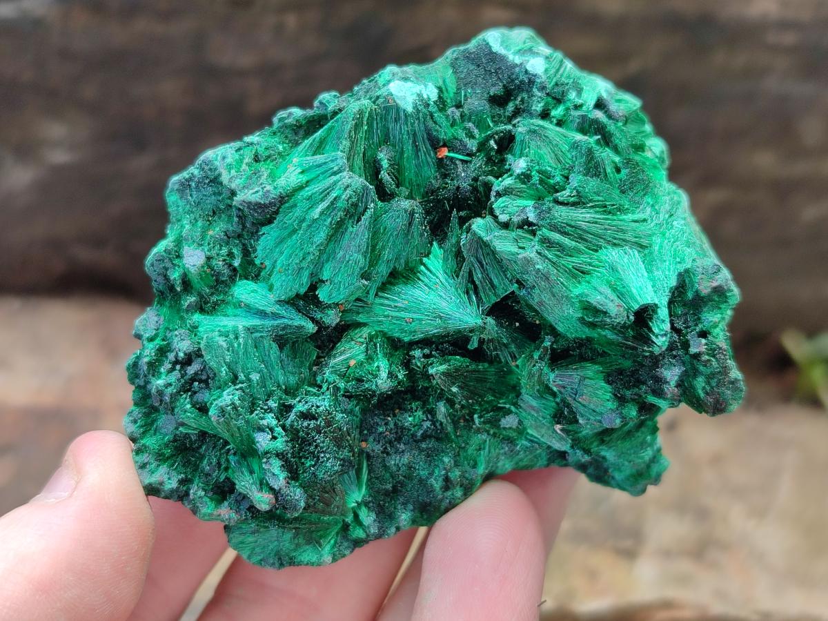 Natural Silky Malachite Specimens x 6 From Kasompe, Congo