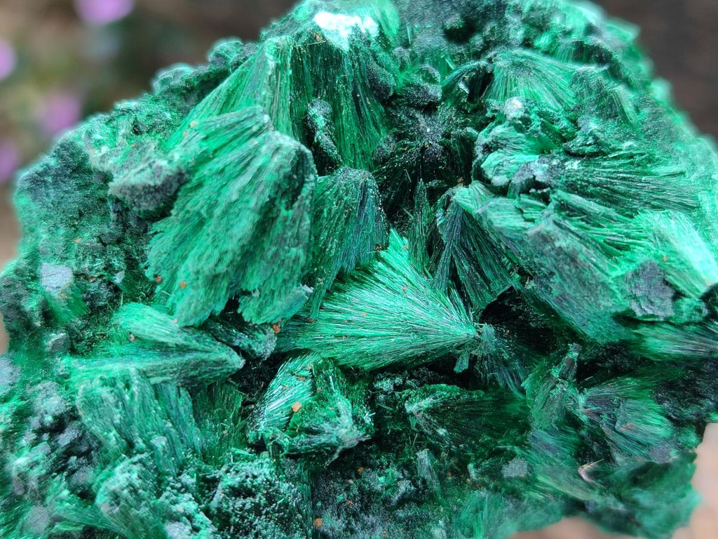 Natural Silky Malachite Specimens x 6 From Kasompe, Congo