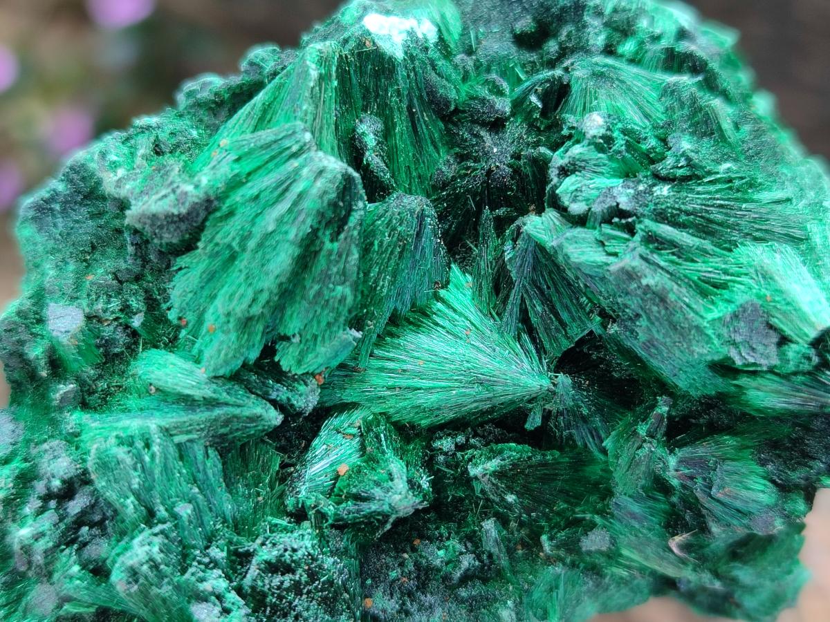 Natural Silky Malachite Specimens x 6 From Kasompe, Congo