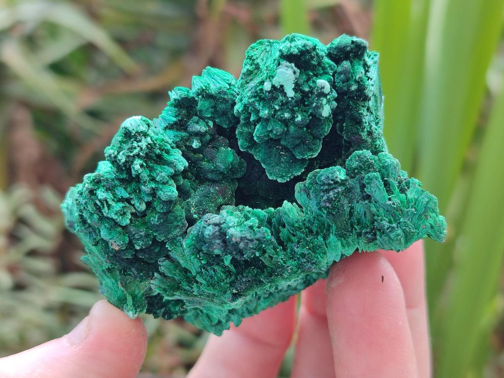 Natural Silky Malachite Specimens x 6 From Kasompe, Congo