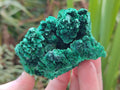 Natural Silky Malachite Specimens x 6 From Kasompe, Congo
