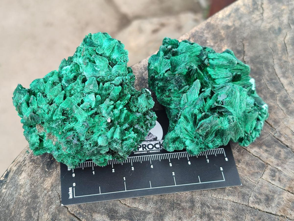 Natural Silky Malachite Specimens x 6 From Kasompe, Congo