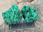 Natural Silky Malachite Specimens x 6 From Kasompe, Congo