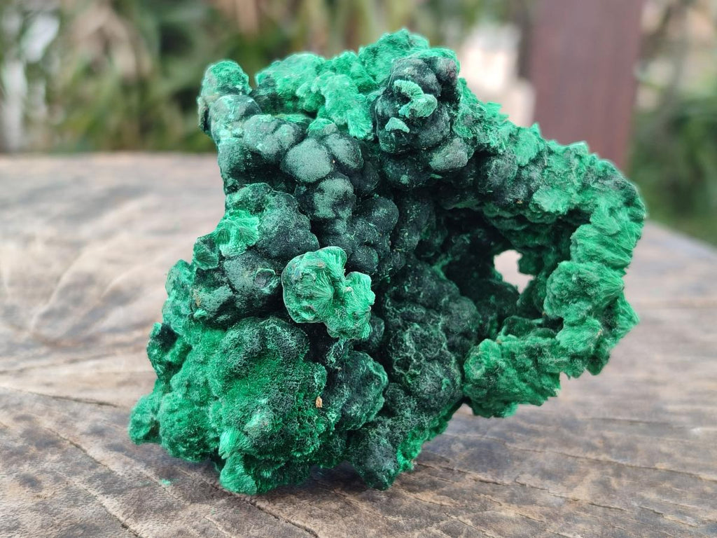 Natural Silky Malachite Specimens x 6 From Kasompe, Congo