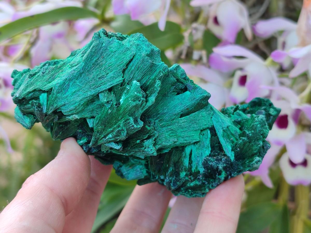 Natural Silky Malachite Specimens x 6 From Kasompe, Congo
