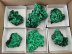 Natural Silky Malachite Specimens x 6 From Kasompe, Congo