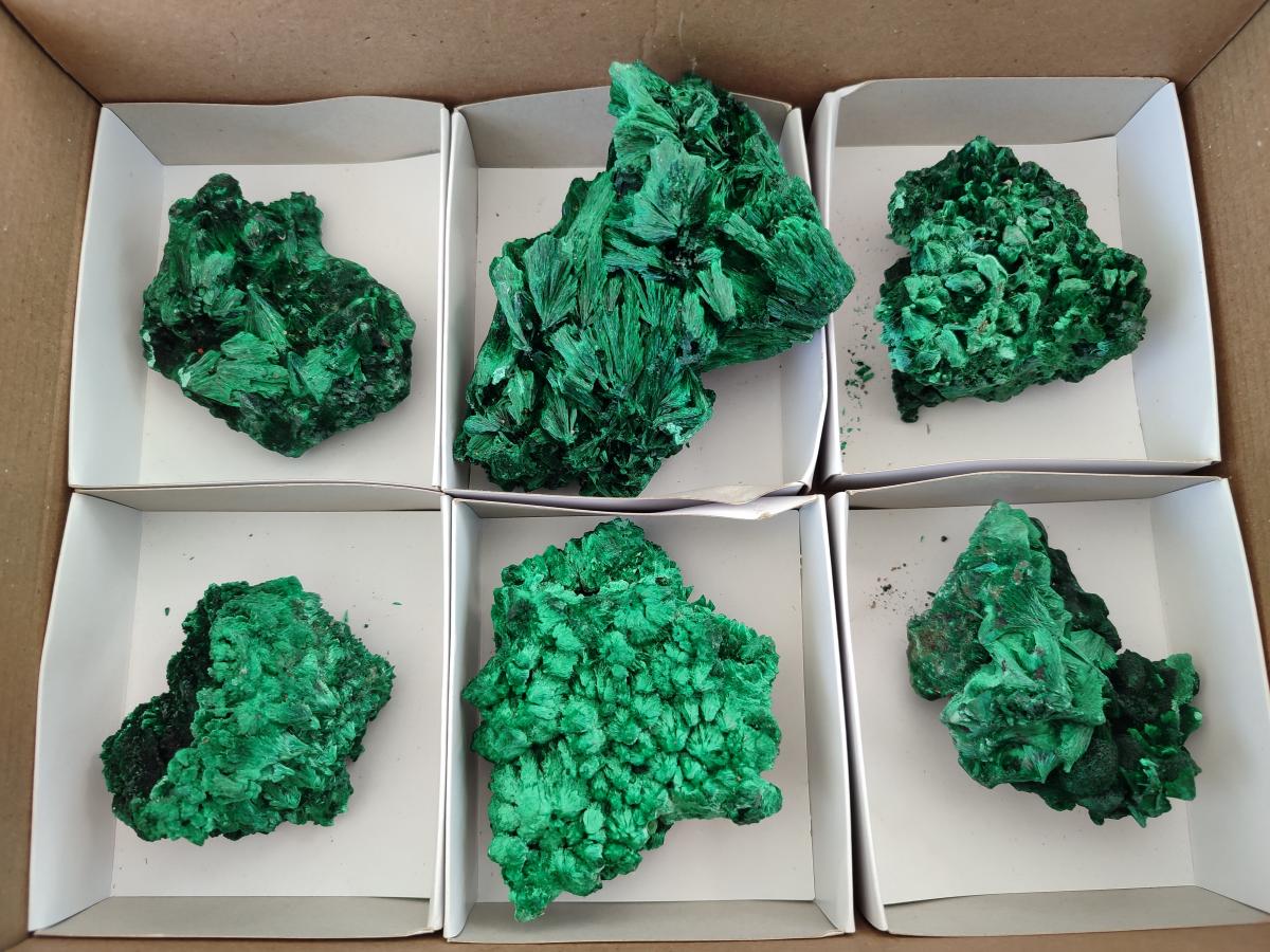 Natural Silky Malachite Specimens x 6 From Kasompe, Congo