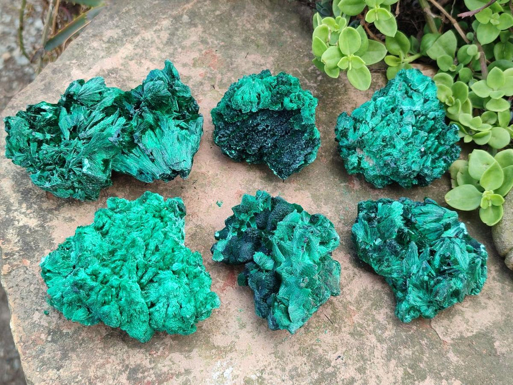 Natural Silky Malachite Specimens x 6 From Kasompe, Congo
