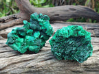 Natural Silky Malachite Specimens x 6 From Kasompe, Congo