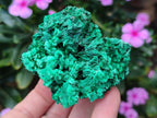 Natural Silky Malachite Specimens x 6 From Kasompe, Congo