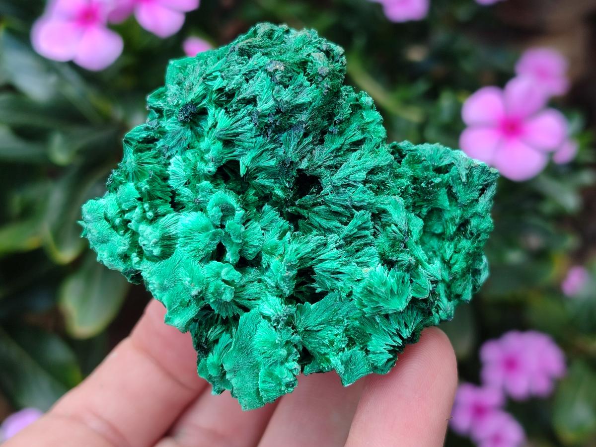 Natural Silky Malachite Specimens x 6 From Kasompe, Congo