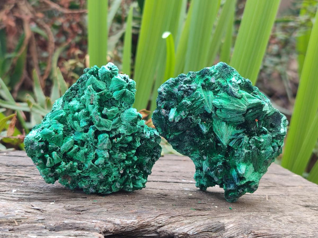 Natural Silky Malachite Specimens x 6 From Kasompe, Congo
