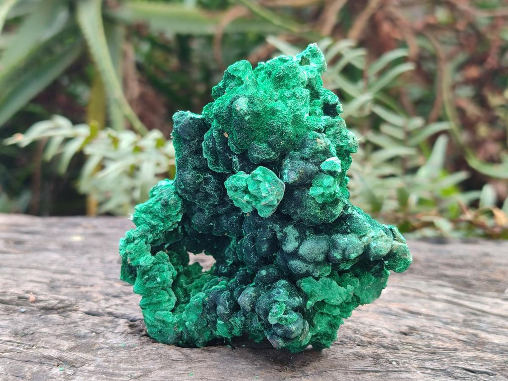Natural Silky Malachite Specimens x 6 From Kasompe, Congo