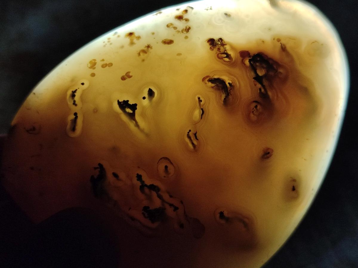 Polished and Natural Dendritic Agate Standing Display Pieces x 4 From Moralambo, Madagascar