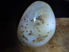 Polished and Natural Dendritic Agate Standing Display Pieces x 4 From Moralambo, Madagascar