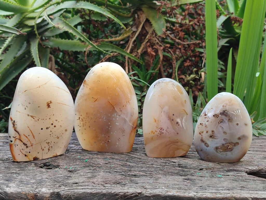 Polished and Natural Dendritic Agate Standing Display Pieces x 4 From Moralambo, Madagascar