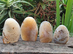 Polished and Natural Dendritic Agate Standing Display Pieces x 4 From Moralambo, Madagascar