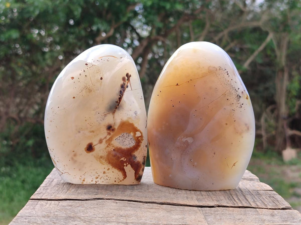 Polished and Natural Dendritic Agate Standing Display Pieces x 4 From Moralambo, Madagascar