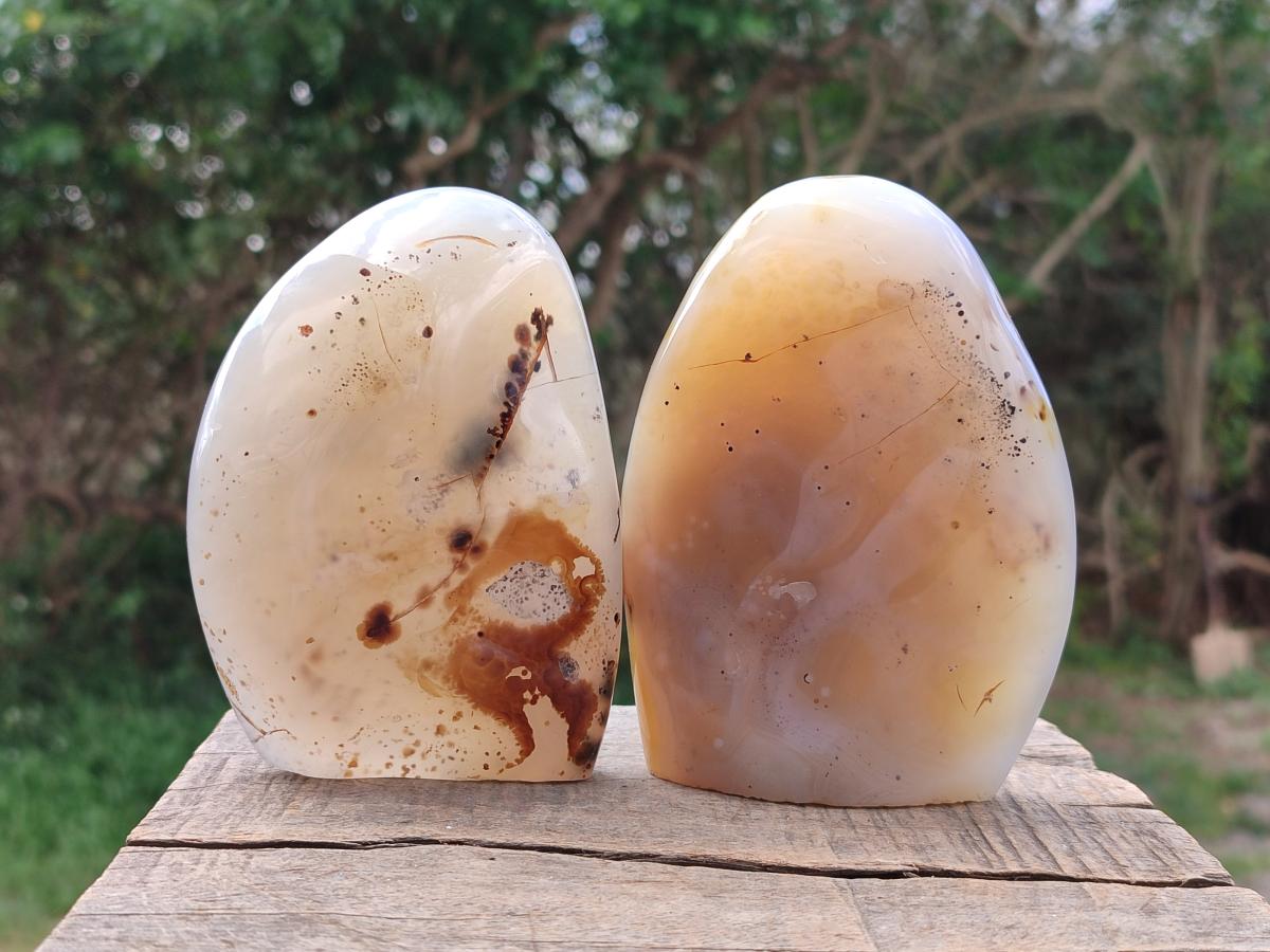 Polished and Natural Dendritic Agate Standing Display Pieces x 4 From Moralambo, Madagascar