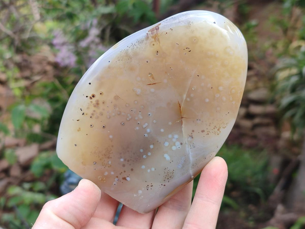 Polished and Natural Dendritic Agate Standing Display Pieces x 4 From Moralambo, Madagascar