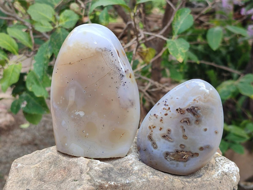 Polished and Natural Dendritic Agate Standing Display Pieces x 4 From Moralambo, Madagascar