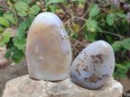 Polished and Natural Dendritic Agate Standing Display Pieces x 4 From Moralambo, Madagascar