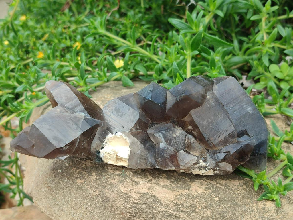 Natural Smokey Quartz Clusters with Associated Minerals x 2 From Erongo, Namibia