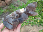 Natural Smokey Quartz Clusters with Associated Minerals x 2 From Erongo, Namibia