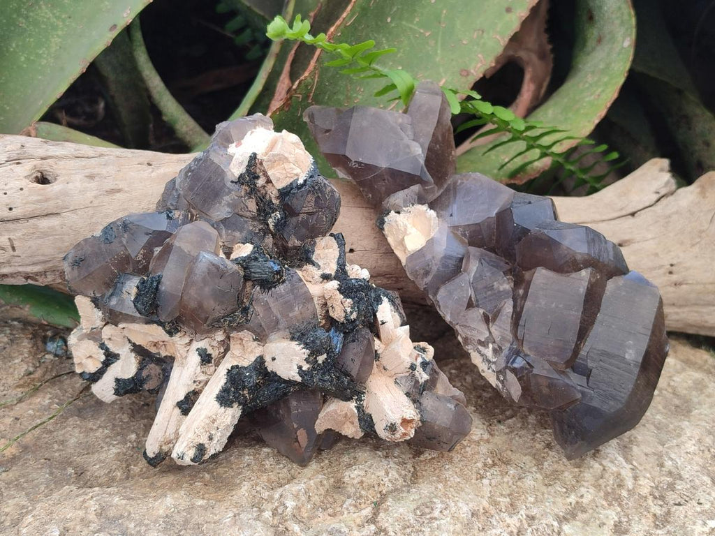 Natural Smokey Quartz Clusters with Associated Minerals x 2 From Erongo, Namibia