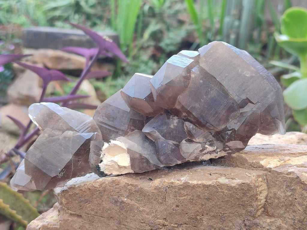 Natural Smokey Quartz Clusters with Associated Minerals x 2 From Erongo, Namibia