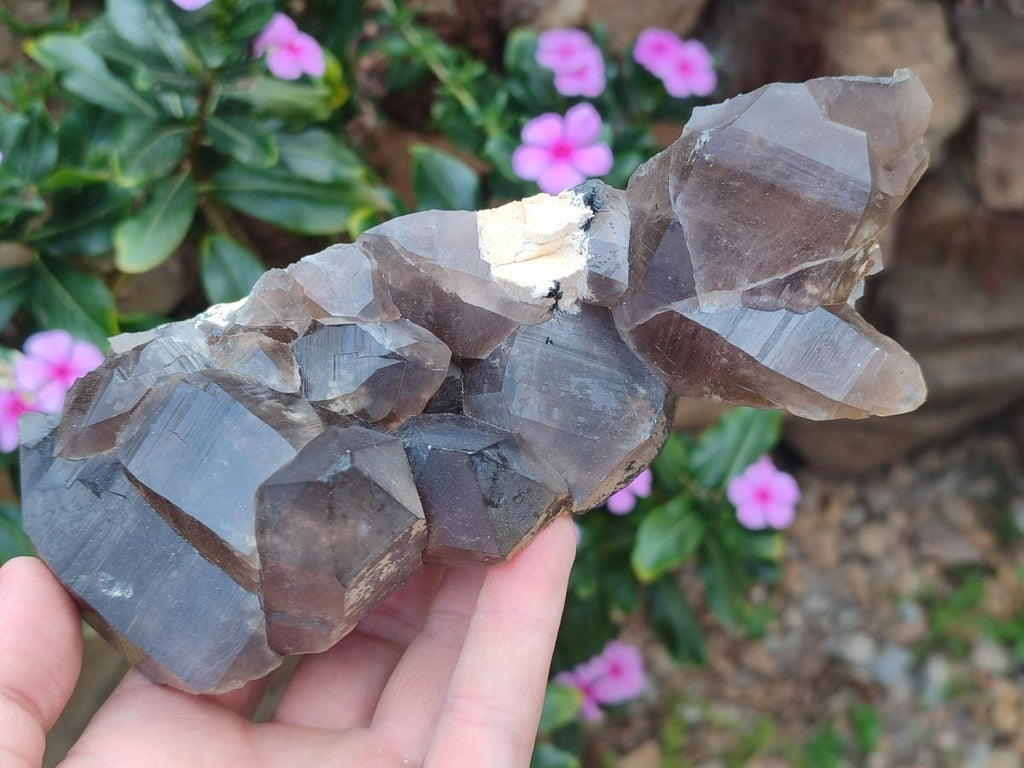 Natural Smokey Quartz Clusters with Associated Minerals x 2 From Erongo, Namibia