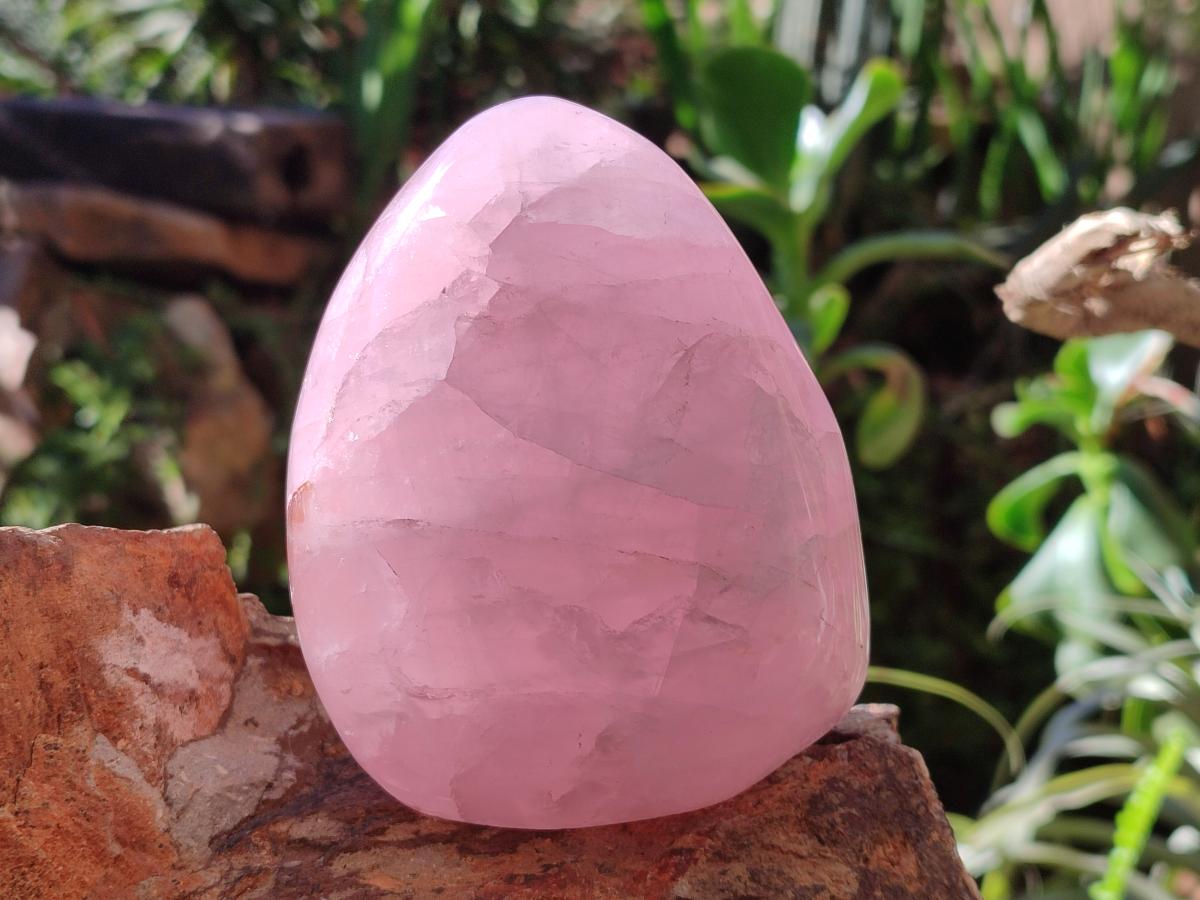 Polished Rose Quartz Standing Display Pieces x 6 From Zimbabwe - Toprock Gemstones and Minerals 