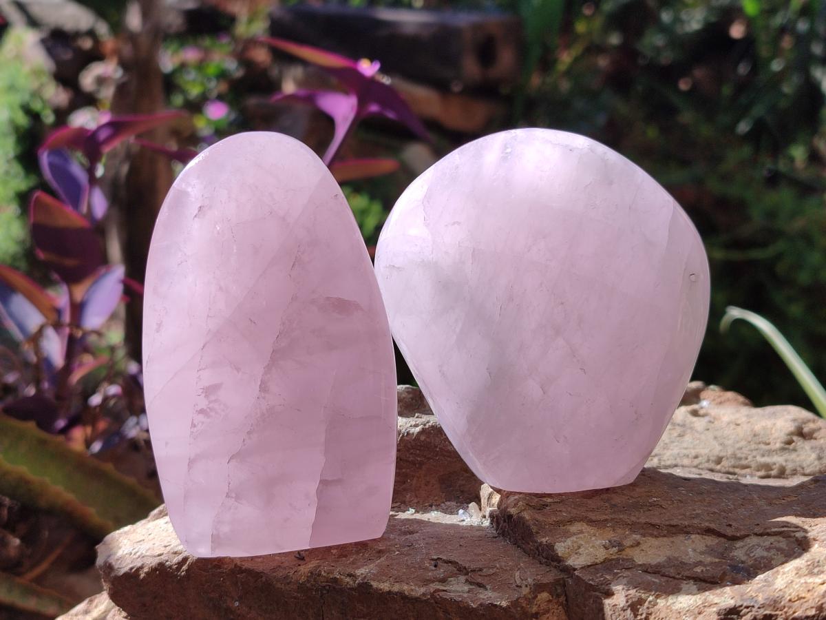 Polished Rose Quartz Standing Display Pieces x 6 From Zimbabwe - Toprock Gemstones and Minerals 