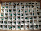 Natural Small Dioptase Cluster Specimens on Dolomite x 70 From Tantara Mine, Congo